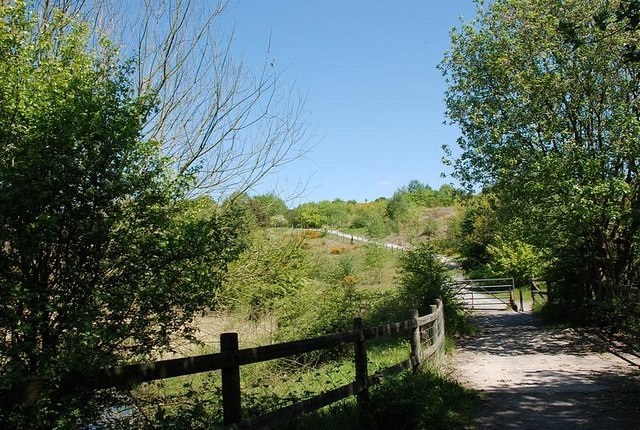 Saltwells nature reserve green countryside