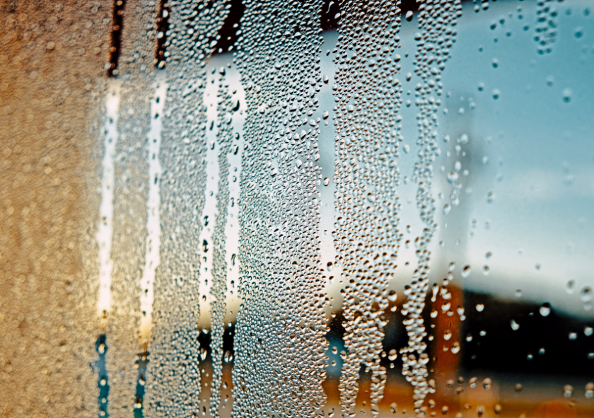 condensation on windows