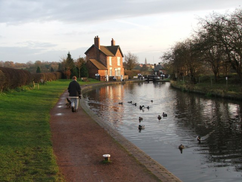 Lake with birds and a brick house