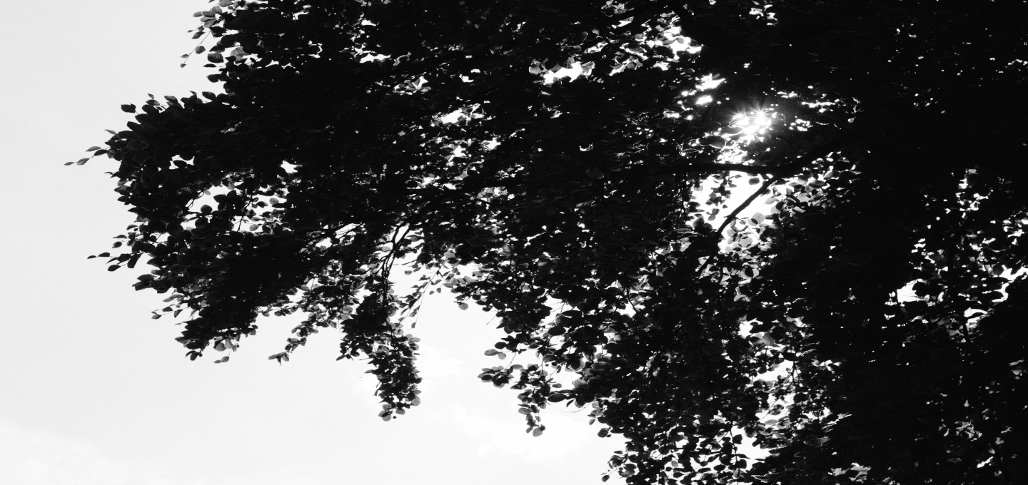 Wednesfield Wolverhampton