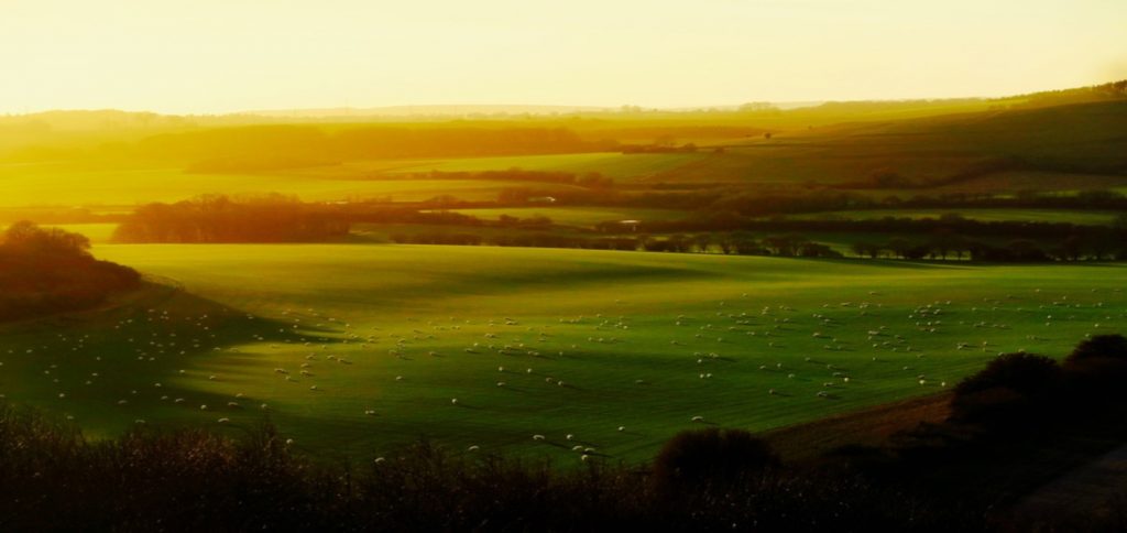 Brewood and Coven South Staffordshire Landscape