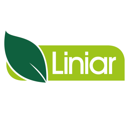 DW Windows Liniar Logo